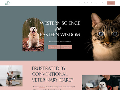 Holistic Veterinarian copywriting squarespace web design