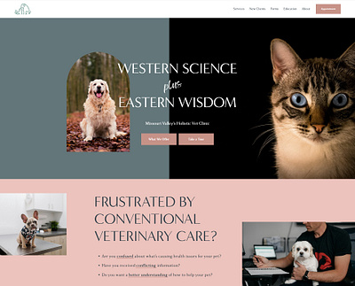 Holistic Veterinarian copywriting squarespace web design