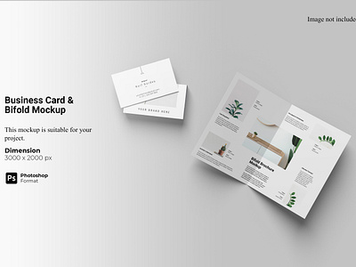 Business Card & Bifold Mockup stationery