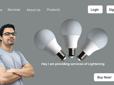 Electric Light Services electric light page service web page ui uiux web page