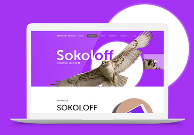 Sokoloff Creative Studio / Web Design adobe photoshop branding design figma graphic design ui uiux design ux web web design website