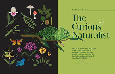 Chameleon 2d animal botanical conceptual digital editorial flat folioart illustration layout design nature sally caulwell science vector wildlife