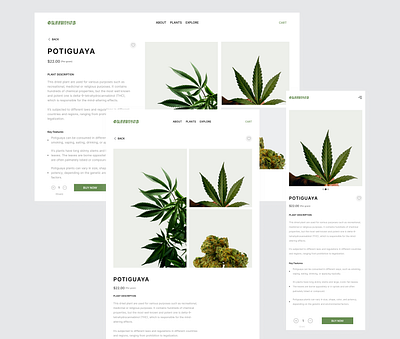 Greenhub : A plant-based E-commerce platform checkout ecommerce landingpage ui uiux