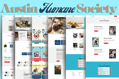 Austin Humane Society branding graphic design logo