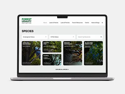 Catalog Filter Animation animation card catalog eco filter green grid interaction ui