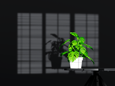 The Plant 3d 3d art 3d modeling animation cinema 4d design gobo illustration light motion graphics plant