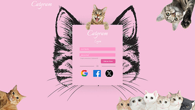 login signup page 3d animation branding catgram cats graphic design logo motion graphics ui