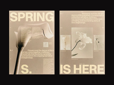 Spring brand branding design digital editorial grid layout swiss typography web