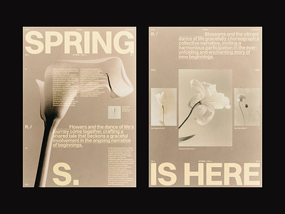Spring brand branding design digital editorial grid layout swiss typography web