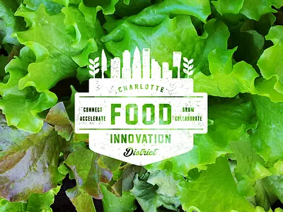 CLT Food Innovation District branding design graphic design logo