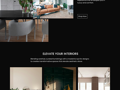 Interior Design Website mobile design ui design website design