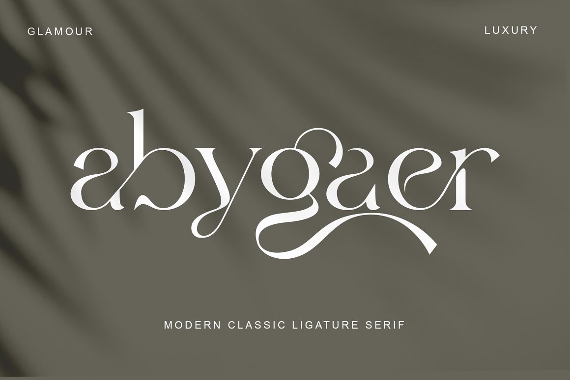 Abygaer alternates elegant font elegant serif ligatures modern font modern serif serif display serif font serif typeface smooth font sweet font unique font