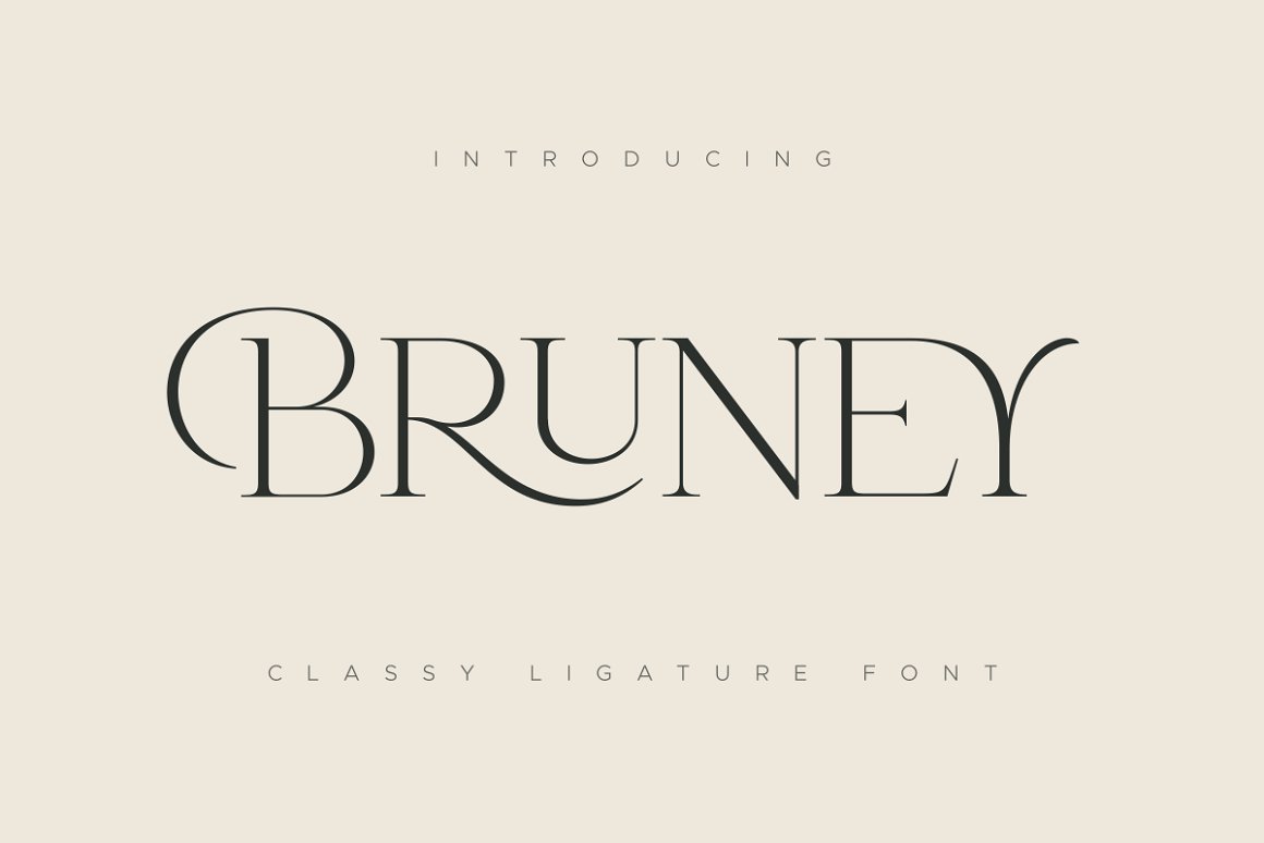 Bruney - Classy Ligature Font classy classy font display elegant elegant font fashion font feminine font font girlboss header logo logotype minimal font modern font serif serif font