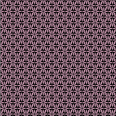 Pink and Black Floral Pattern graphic design