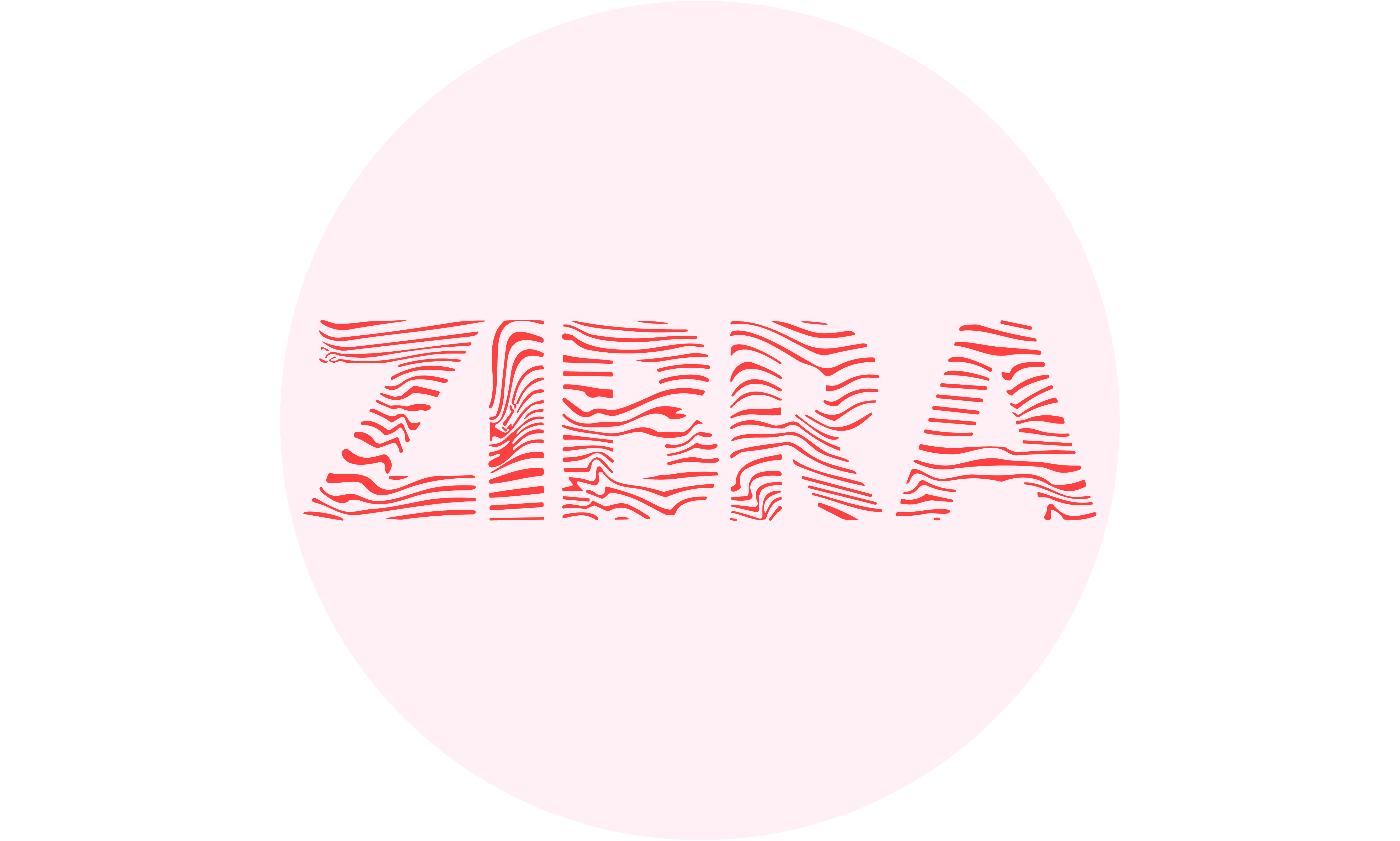 ZIBRA brand identity brand logo branding business logo design graphic design logo logo creation logo design text typography typography logo