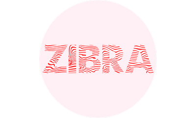 ZIBRA brand identity brand logo branding business logo design graphic design logo logo creation logo design text typography typography logo