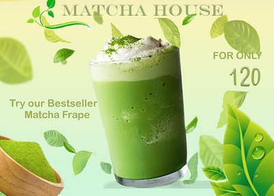 Product Design Matcha branding graphic design product product design