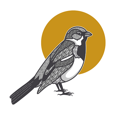 Chickadee bird black and white chickadee illustration patterns yellow