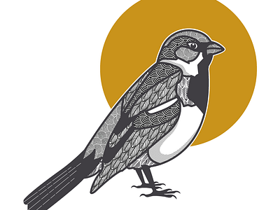 Chickadee By Darcy Ujjainwalla On Dribbble