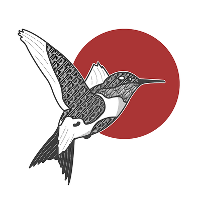 Hummingbird bird black and white graphic design hummingbird illustration patterns red