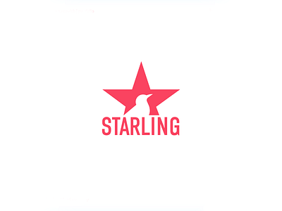 Starling brandidentity branding design logo logodesign logodesigner logotype typography