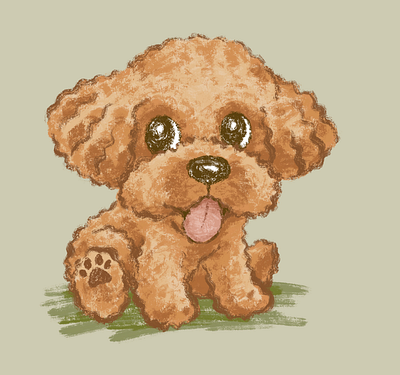 Toy poodle character dog pet puppy toy poodle