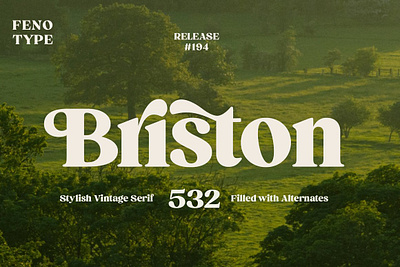 Briston Serif book briston sans serif font briston serif briston serif font cosmetics display fancy flamboyant logo sans serif sans serif font vintage