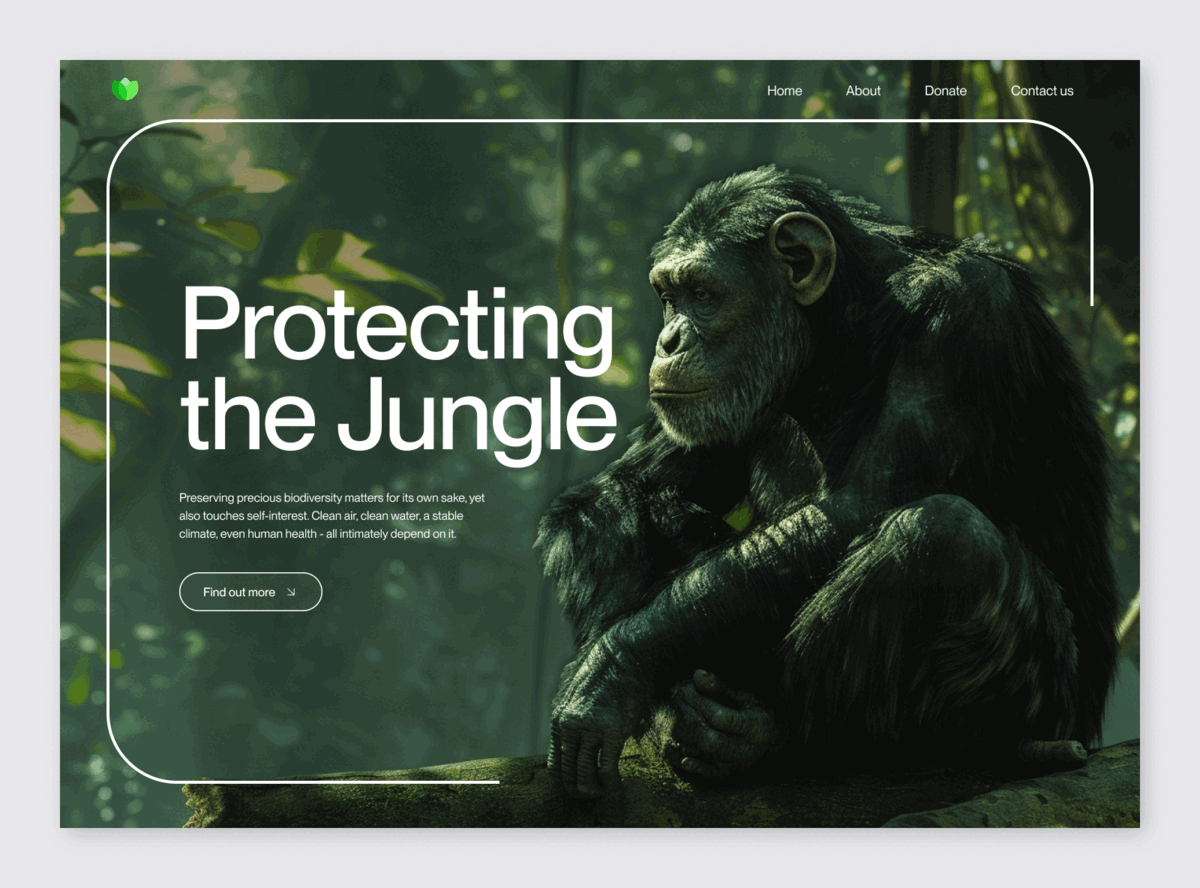 Jungle Web Design Layouts animal ape bird forest jungle landing page monkey rainforest snake tiger toucan ui web design website wildlife