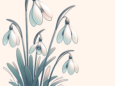 Serene Drops by Aravind Reddy Tarugu aravind art botanical delicate design early spring garden gentle graceful flower illustration nature reddy seasonal serene snowdrops snowdrops springtime tarugu tranquility vector winter blooms