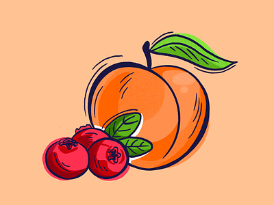 Cranberry Peach Illustration for Cocktail Packaging branding canned cocktail cocktail cranberry design drawing flavor food fruit georgia graphic hand drawn hoot design icon illustration illustration art juicy packaging peach symbol