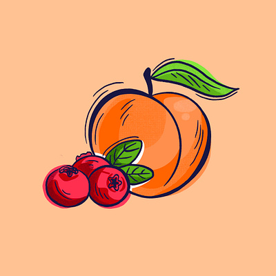 Cranberry Peach Illustration for Cocktail Packaging branding canned cocktail cocktail cranberry design drawing flavor food fruit georgia graphic hand drawn hoot design icon illustration illustration art juicy packaging peach symbol