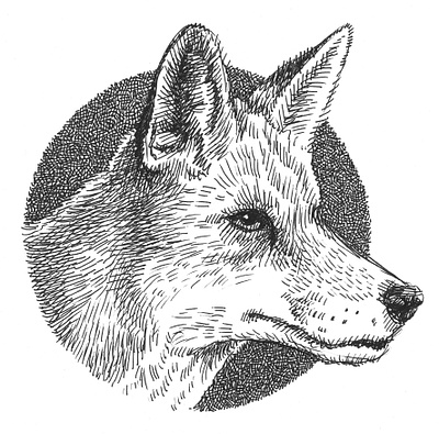 Dog animals art artist artwork dog drawing hand drawn illustration ink wolf