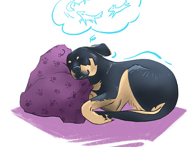 Bajka - sleeping dog 2d bajka the dog black dog dog dreaming illustration paw pet procreate puppy sleeping