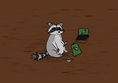 Racoon :3 racoon енот