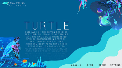 Sea turtle - web page advertisement design graphic design