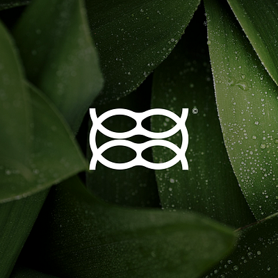 Monarch© - Brand Design bra brand brand designer branddesign branding company logo graphic design logo logo design logo designer logos small business