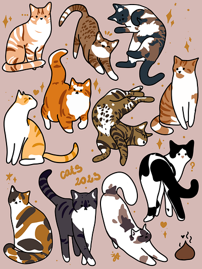 Cat Variety art cat design graphic design illustration