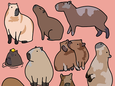 Capybara Variety animal art design graphic design illustration