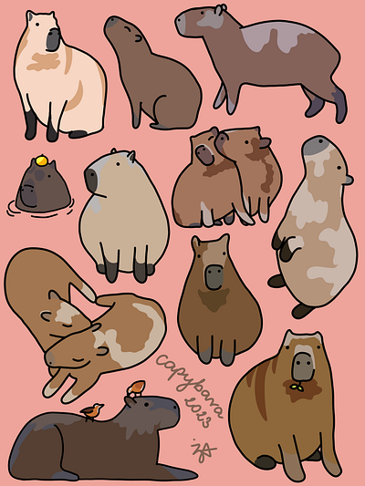 Capybara Variety animal art design graphic design illustration