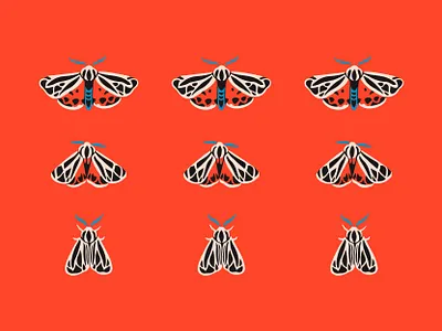Tiger Moth bug coral design illustration moth nature pattern procreate red tiger moth wings