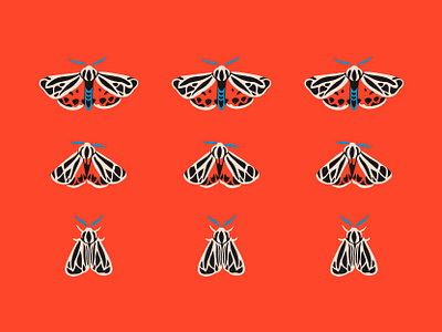 Tiger Moth bug coral design illustration moth nature pattern procreate red tiger moth wings