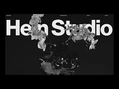 Hein, Homepage animation design homepage studio typography ui ux video web website