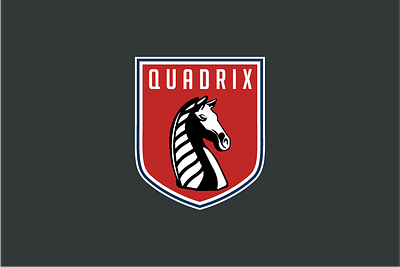 Quadrix brandidentity financelogo identitydesign logo logodesign logotype shieldlogo
