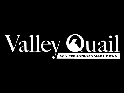 Valley Quail San Fernando Valley News brandidentity creativelogo identitydesign logo logodesign logoinspiration logotype typographylogo