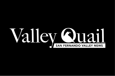 Valley Quail San Fernando Valley News brandidentity creativelogo identitydesign logo logodesign logoinspiration logotype typographylogo