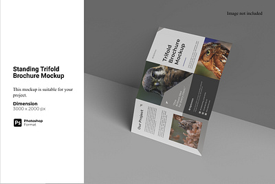 Standing Trifold Brochure Mockup information