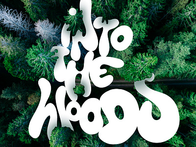 Into the Woods branding breath climate design forest graffiti graphic design health holiday illustration lettering logo mountains nature procreate streetart streetwear trees typography wood