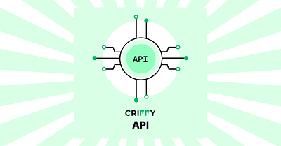 Criffy API Design api criffy crypto design graphic design