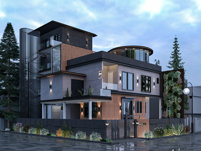 Exterior Elevation-P 3d 3d graphics 3ds max art artwork design graphic design illustration