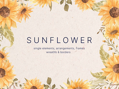 Sunflower Watercolor Design Elements flower graphics graphics download graphics png png png download sunflower sunflower png watercolor